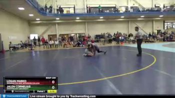 157 lbs Cons. Round 4 - Logan Marko, Washington And Jefferson College vs Jalen Cornelius, Shenandoah University