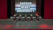 Sacred Heart University [Hip Hop Division I Prelims - 2017 NCA & NDA Collegiate Cheer and Dance Championship]