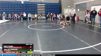 43 lbs Quarterfinal - Dallas Andrade, 208 Badgers vs Nico Tamez, Ontario Animals Wrestling Club