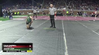 D4-165 lbs Quarterfinal - Easten Cook, Muskegon Catholic Central HS vs Calix Campbell, Hudson Area HS