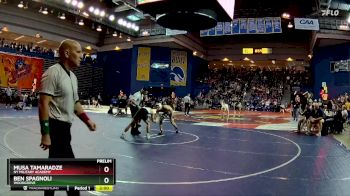 132 lbs Prelim - Ben Spagnoli, Woodgrove vs Musa Tamaradze, NY Military Academy