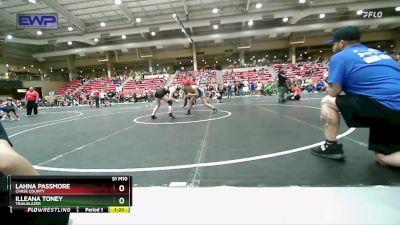 110 lbs Quarterfinal - Illeana Toney, Trailblazer vs Lahna Passmore, Chase County