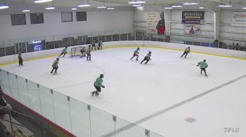 Replay: Home - 2025 Bloom Hockey vs Universal WDSG Europe | May 11 @ 3 PM
