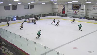 Replay: Home - 2025 Bloom Hockey vs Universal WDSG Europe | May 11 @ 3 PM