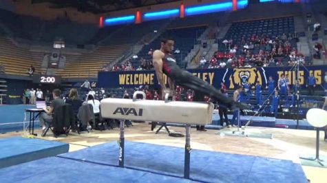Akash Modi - Pommel Horse, Stanford - 2017 Men's MPSF Championships