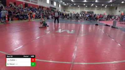 80 lbs Quarterfinal - Julia Kallal, New Prague vs Brielle Meyer, Osceola