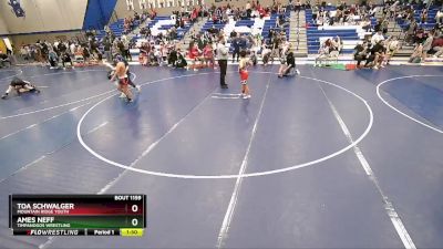 115 lbs Cons. Round 3 - Ames Neff, Timpanogos Wrestling vs Toa Schwalger, Mountain Ridge Youth