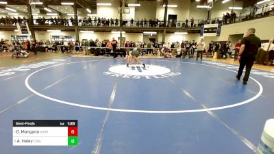 138 lbs Semifinal - Gavin Mangano, Shoreham-wading River vs Ashten Haley, Cobleskill-richmondville