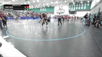 132 lbs Cons. Round 2 - Trajan Cass, Paloma Valley vs Andy Mejia, Valley View