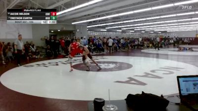 125 lbs Champ. Round 1 - Jacob Nelson, Central vs Treynor Curtin, Augsburg