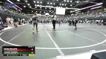 100 lbs Round 3 - Parker Hansen, Nixa Youth Wrestling vs Gavin Williams, Mac Wrestling Club