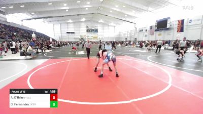 138 lbs Round Of 16 - Ayden O'Brien, Yucca Valley HS vs David Fernandez, Deer Valley HighSchool