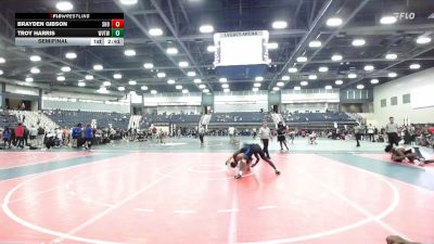 141 lbs Semifinal - Brayden Gibson, Shorter vs Troy Harris, WVU Tech (W.Va.)