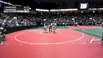 138 lbs Champ. Round 2 - Connor Eader, Unattached vs Liam Harpster, DWAA