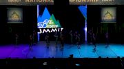 Dancin' Bluebonnets [Large Youth Pom Prelims - 2017 The Dance Summit]