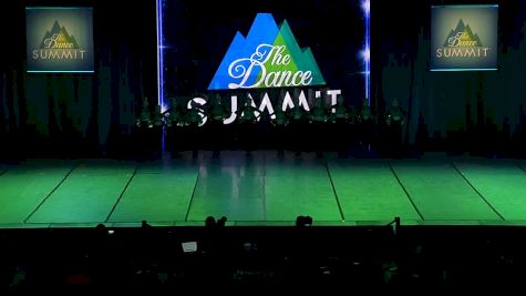 Tiffany's Cheer and Dance Studio - Dance Champions [Small Youth Pom Prelims - 2017 The Dance Summit]