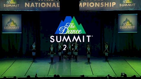 Peak Athletics - Leopards [Small Youth Pom Prelims - 2017 The Dance Summit]