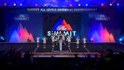 All-Star Revolution - Honor [L1 Small Youth Finals - 2017 The Summit]