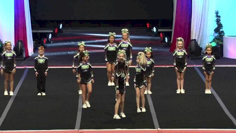 Wildcatz Fierce Cheer - Junglecatz [L1 Small Youth Wild Card - 2017 The D2 Summit]