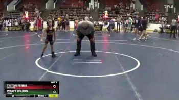 47 lbs Round 5 - Triton Ferris, Grayling vs Wyatt Wilson, Holly