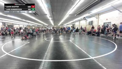 48 lbs Round Of 16 - Gavin Shaffer, Hamburg vs Lane Humbertson, Dover