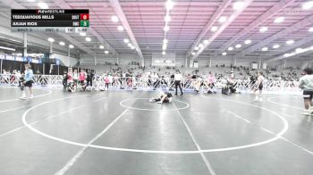 113 lbs Quarterfinal - Teequavious Mills, Team Shutt Van Hoven vs Julian Rios, Doughboy Black