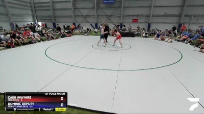 113 lbs Placement Matches (16 Team) - Cash Waymire, Tennessee vs Dominic Deputy, Pennsylvania Blue