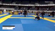 ALEJANDRO RAFAEL TOLMOS COQUELET vs ANDREW WILTSE 2019 World IBJJF Jiu-Jitsu No-Gi Championship