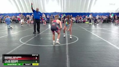 92 lbs Round 7 (8 Team) - Dominic Difilippo, Rogue Wrestling vs Caleb Berger, Highland Hornets