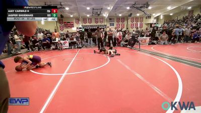 60 lbs Consi Of 4 - AJAY Carwile II, Pin-King All Stars vs Jasper Shuemake, Viking Wrestling Club