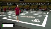 Gabriel Miglioli vs Bernardo Passos 2024 ADCC South American Trials 1