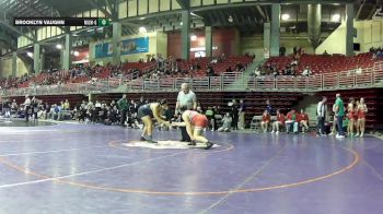 235 lbs Round 3 (6 Team) - Brooklyn Vaughn, Millard West vs Kacee Herredsberg, Smith Center HS