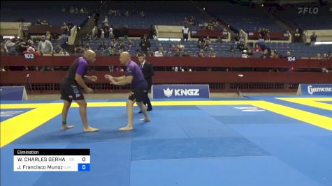 WILLIAM CHARLES GERHAUSER vs FRANCISCO ESEQUIEL GONZALES 2024 Pan IBJJF Jiu-Jitsu No-Gi Championship