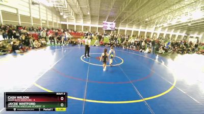 49 lbs Round 2 (4 Team) - Jayzie Whitford, Sanderson Wrestling Academy vs Cash Wilson, Salem Elite Wrestling