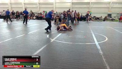 48 lbs Semis & 1st Wrestleback (8 Team) - Luca Cortazzo, South Hills vs Cale Hinkle, Wrestling Mill