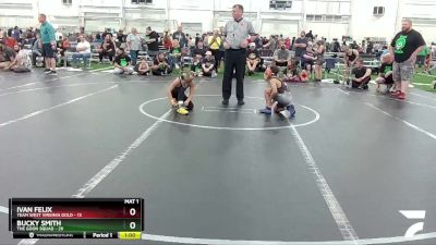 78 lbs Round 4 (6 Team) - Ivan Felix, Team West Virginia Gold vs AJ Casoli, The Goon Squad