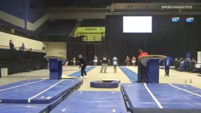 Kyler Hartley - Vault, 5280 Gym CO - 2021 USA Gymnastics Development Program National Championships