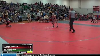 165 lbs Champ. Round 1 - Tucker Haines, Pagosa Springs vs Dominic Mendoza, Grand Valley