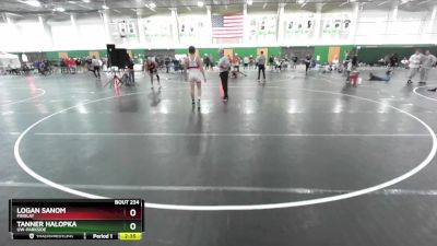 165 lbs Cons. Round 2 - Tanner Halopka, UW-Parkside vs Logan Sanom, Findlay