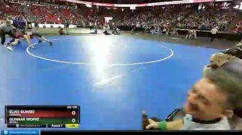 D3-120 lbs Quarterfinal - Elias Glinski, Crandon vs Gunnar Wopat, Royall