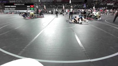 113 lbs Round Of 16 - Lucien Amato, Robbinsville vs Shea Tracey, Shore Thing WC