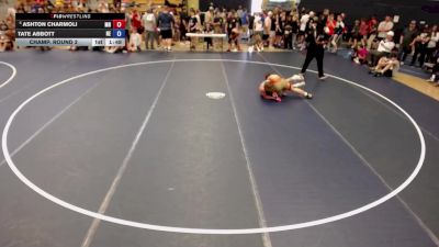 132 lbs Champ. Round 2 - Ashton Charmoli, MN vs Tate Abbott, NE