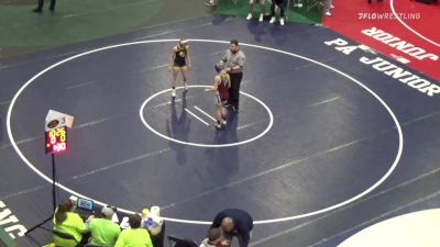 91 lbs Quarterfinal - Breanika Shrecongost, Punxsutawney vs Violet Weber, Mt Lebanon