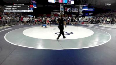 106 lbs Champ. Rd Of 16 - Dominic Pasquale, IL vs Cason Craft, OK