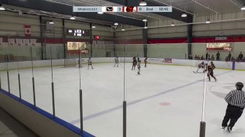 Replay: Home - 2024 Elgin U14 vs Ottawa 67s U14 | Nov 29 @ 8 PM