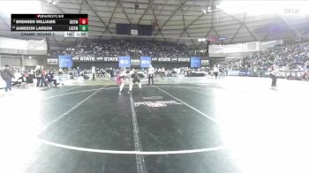 Boys 4A 138 lbs Champ. Round 2 - Brennen Williams, South Kitsap vs Jameson Larson, Lake Stevens