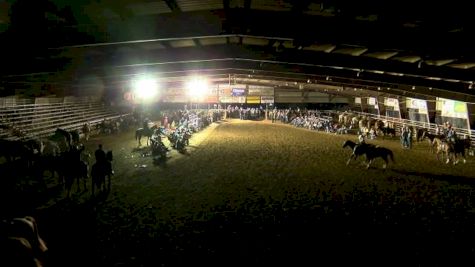Champion Of Champions Championship Round- 2017 Duvall's Steer Wrestling Jackpot