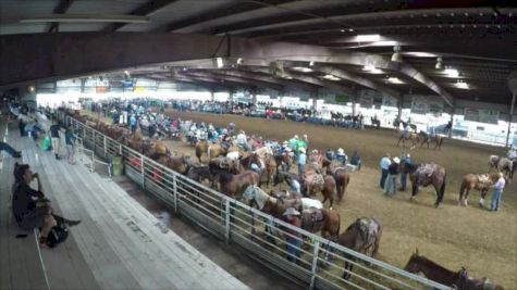 Battle Royal 5- Crane VS Dollery- 2017 Duvall's Steer Wrestling Jackpot