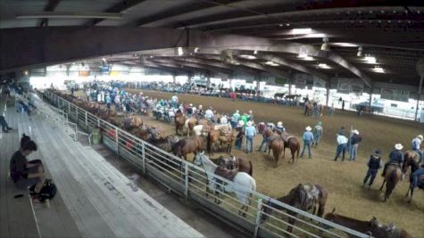 Battle Royal 6- Parrott VS Shofner- 2017 Duvall's Steer Wrestling Jackpot