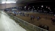 19 & Under Championship Round - 2017 Duvall's Steer Wrestling Jackpot